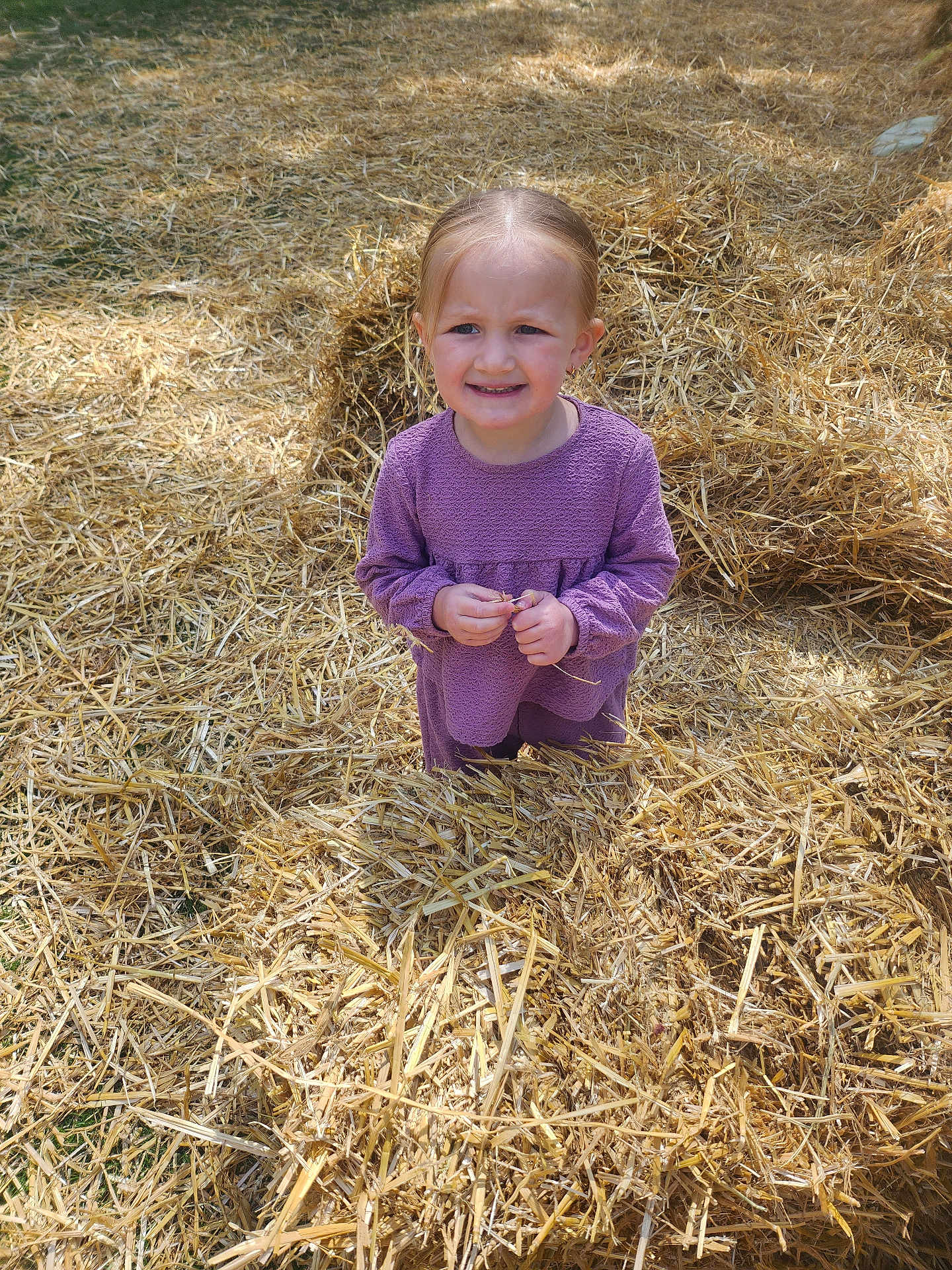 Mya participe au concours pour gagner de l'argent avec cette photo : child, girl, purple_clothing, straw, hay, outdoor, field, sunlight, nature, standing, person, smile, expression, grass, daytime, casual, cute, young, portrait, playful