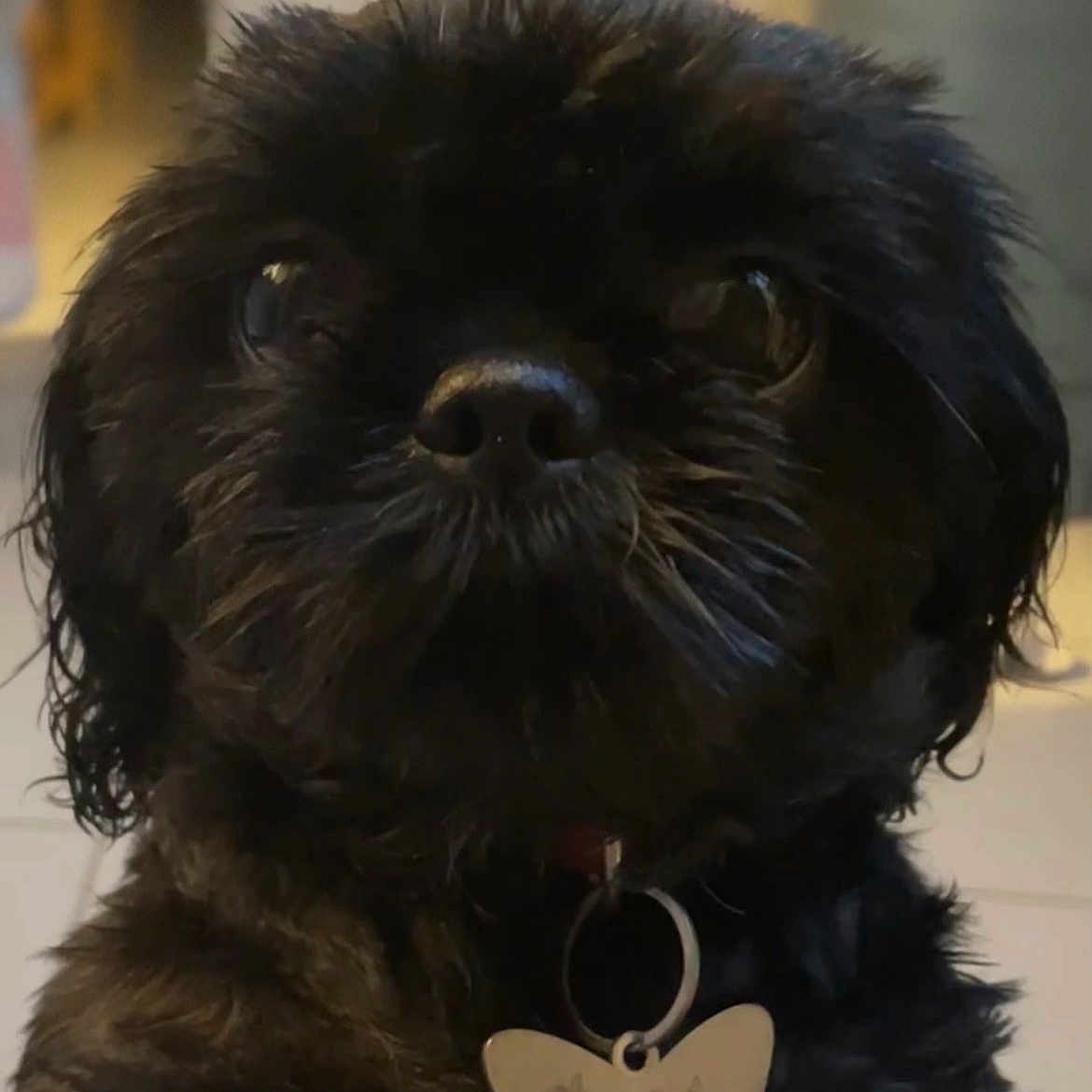 Kiki