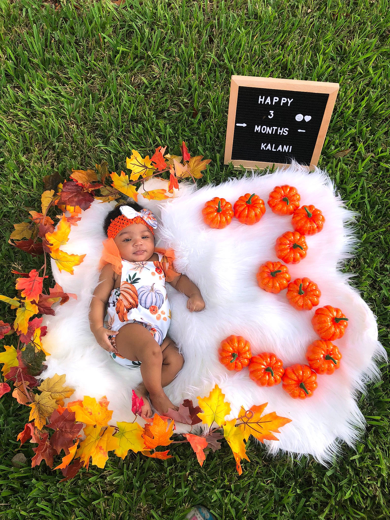 Kalani joined the competition — help win amazing prizes! autumn, child, christmas_decoration, flower, grass, leaf, orange, person, plant, toddler, wreath
