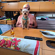 Titou participe au concours pour gagner de l'argent avec cette photo : accessories, animal, baby, bag, canine, computer, couch, desk, dog, electronics, furniture, laptop, pc, person, pet, plywood, puppy, remotecontrol, table, wood