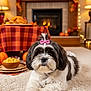 autumn, bow, carpet, cozy, cute, decorations, dog, festive, fireplace, food, fur, holiday, indoor, living_room, pet, pumpkin, relaxed, table, thanksgiving, warm_lighting