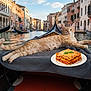 cat, orange_tabby, gondola, venice, canal, water, blanket, lasagna, food, plate, building, architecture, river, outdoor, relaxing, travel, tourist, cityscape, sunlight, sky
