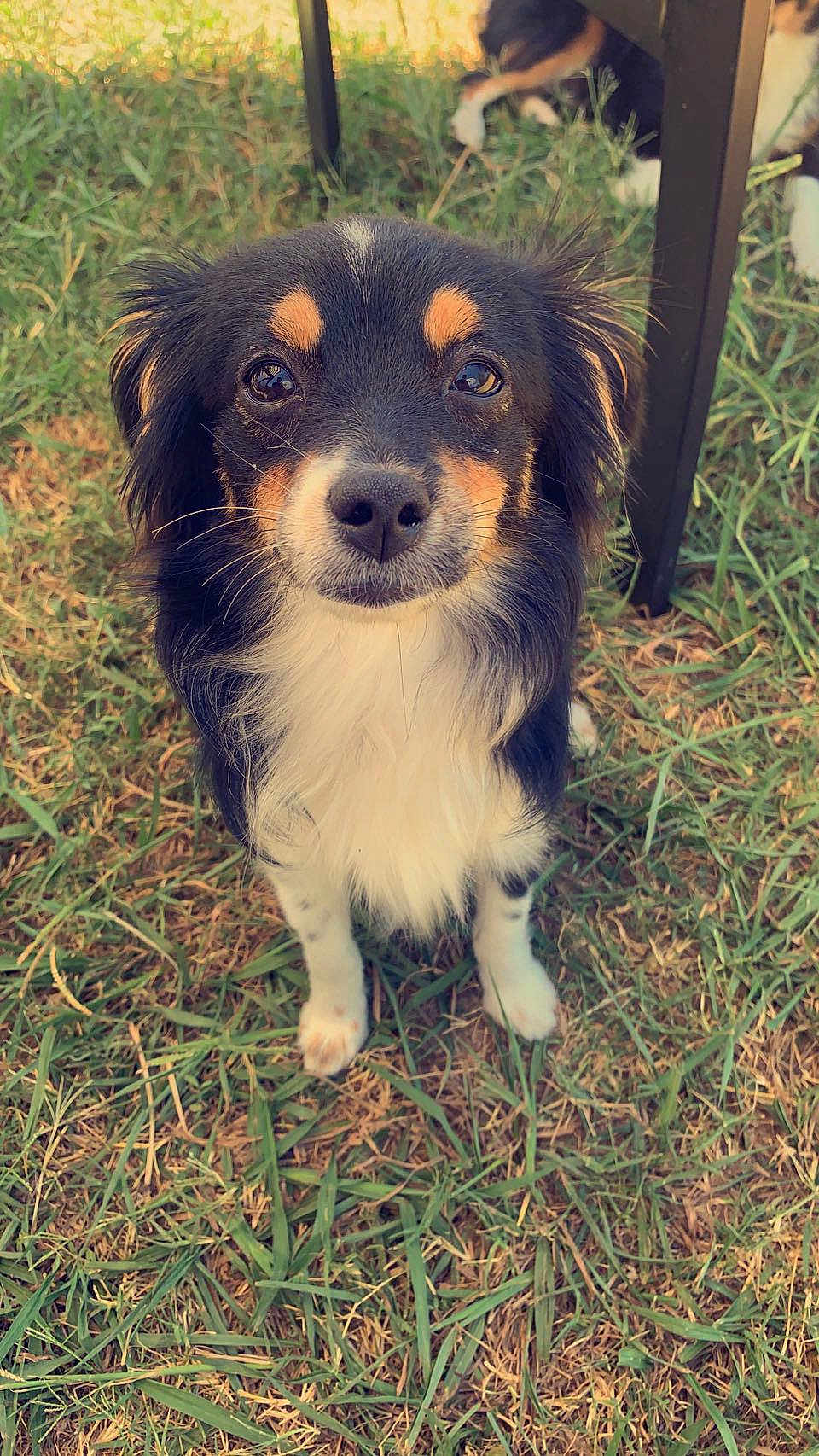 Maggie