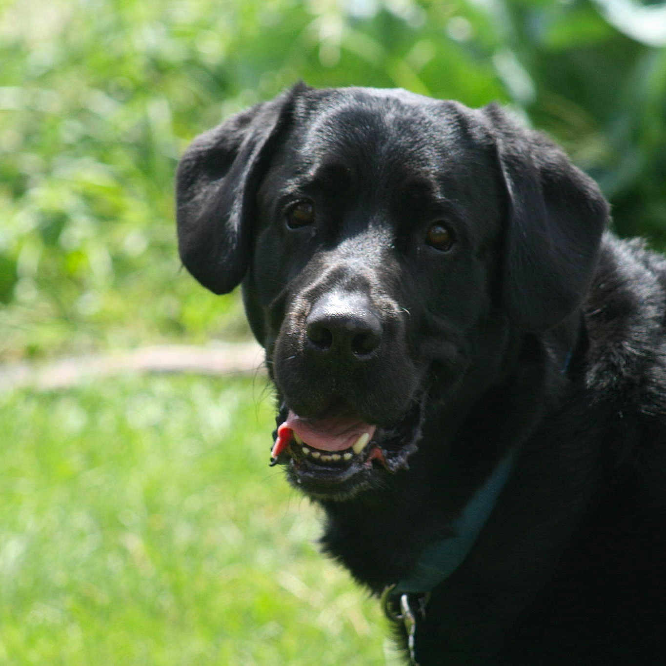 Marley joined the competition — help win amazing prizes!