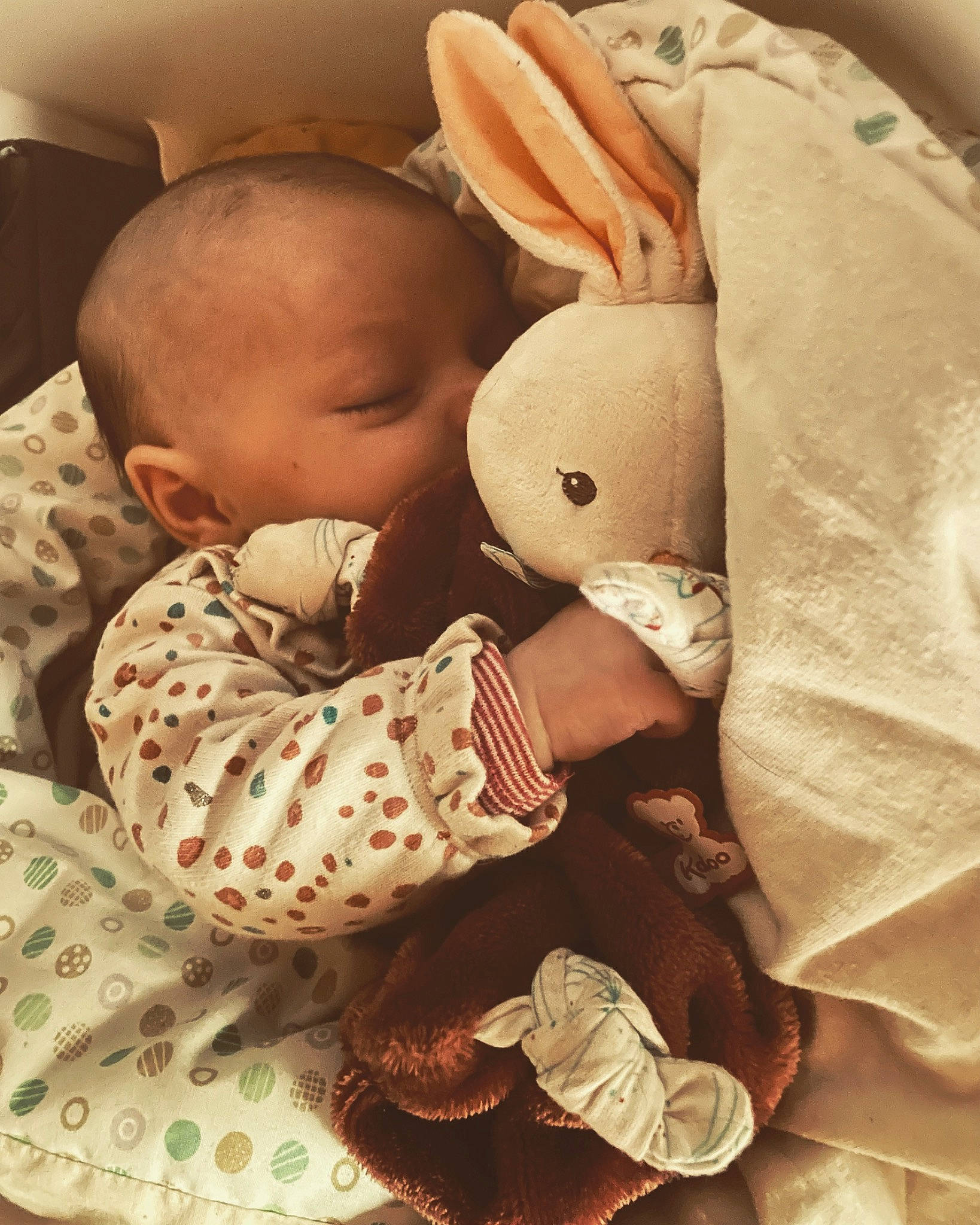 Naomie participe au concours pour gagner de l'argent avec cette photo : baby, baby_products, baby_sleeping, baby_toddler_clothing, bedding, bedtime, carmine, cheek, child, comfort, interaction, linens, mammal, pattern, person, skin, stuffed_toy, textile, toddler, toy