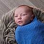 baby, infant, blanket, blue, basket, fur, cozy, wrapped, newborn, face, head, skin, expression, indoors, floor, wood, portrait, cute, small, child