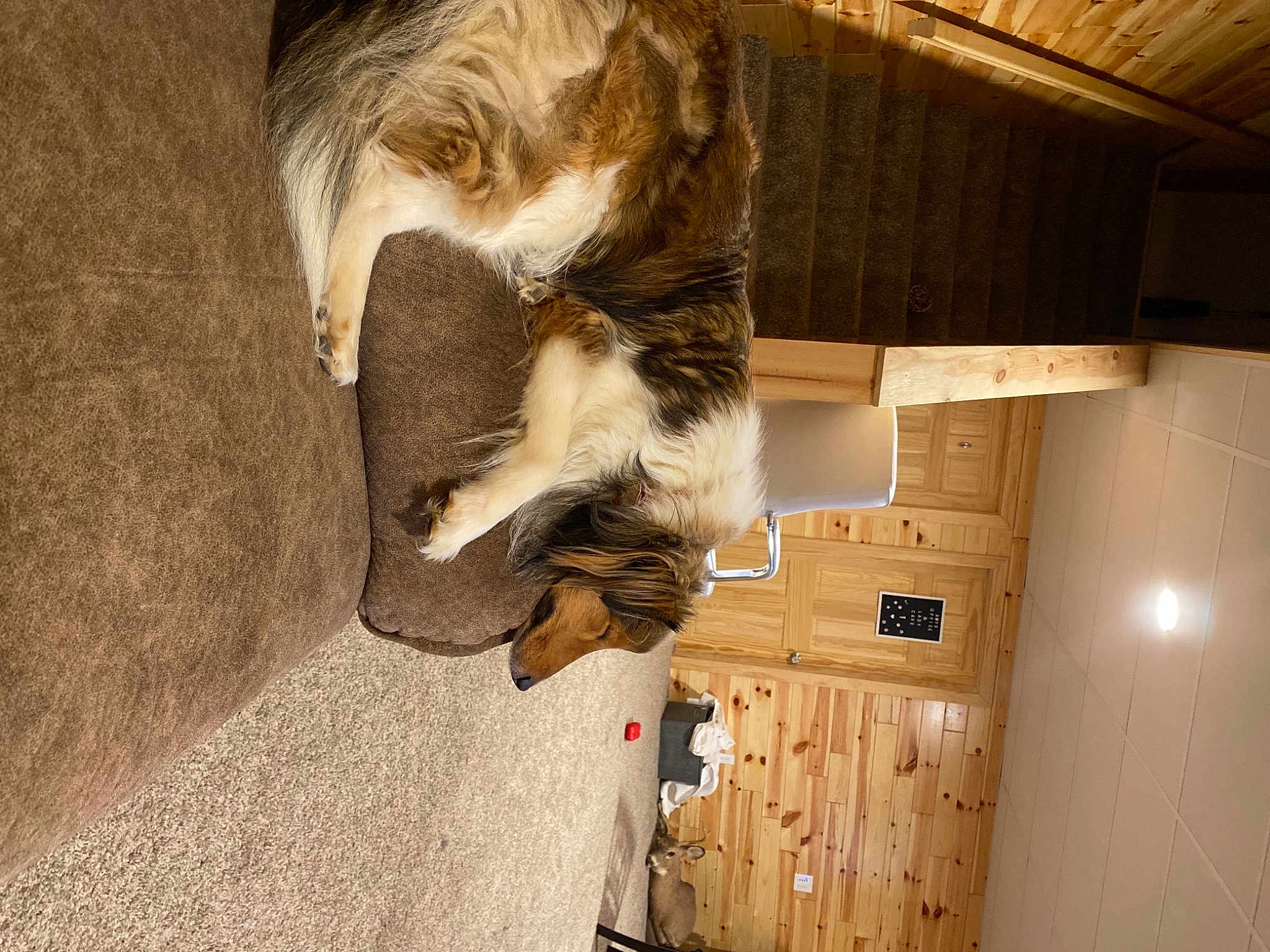 Chloe
