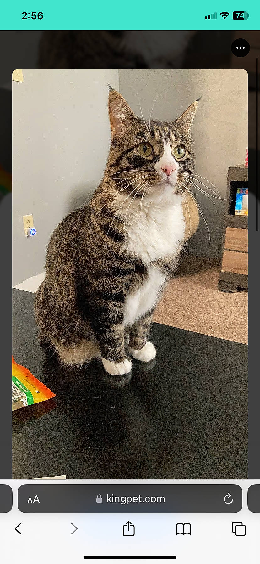 Mo
