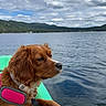 Henderson is registered to the contest to win money with this photo: dog, lake, water, sky, clouds, outdoor, nature, kayak, pet, animal, harness, green, brown, fur, calm, scenic, landscape, mountains, adventure, relaxation