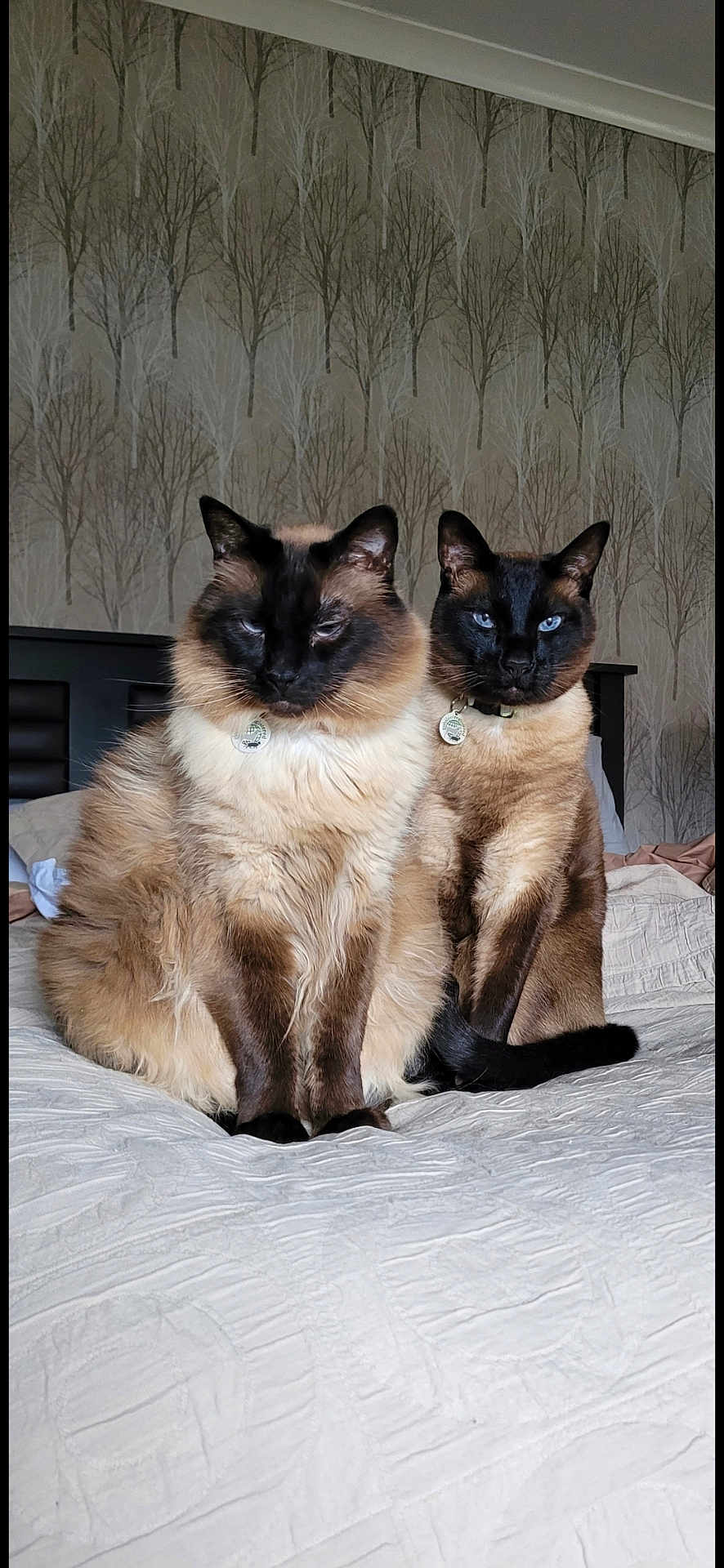 Pippa Et Vittorio