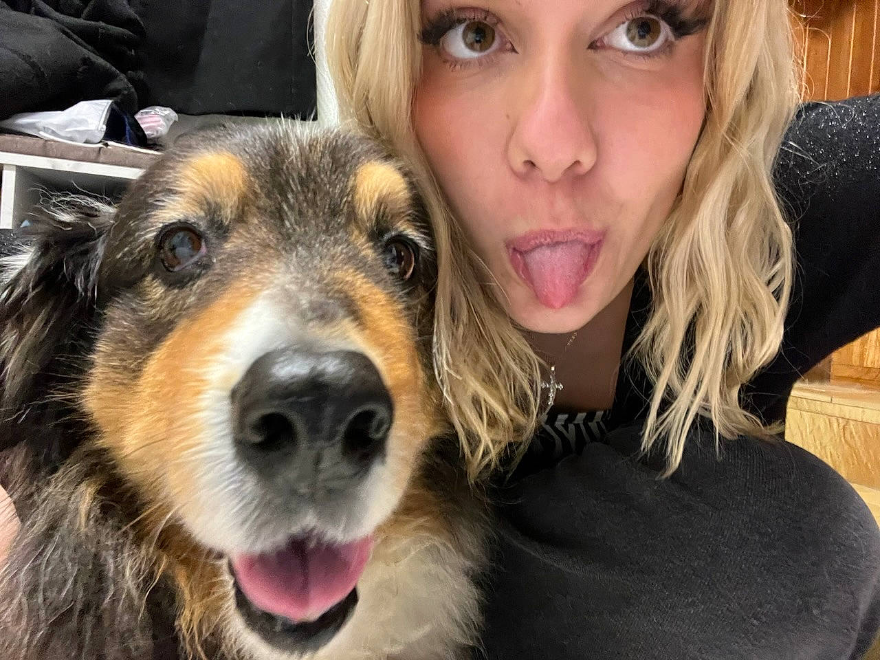 Garance a rejoint le concours — aidez-le/la à gagner de superbes lots ! canidae, carnivore, companion_dog, dog, dog_breed, ear, eyelash, fun, fur, happy, jaw, nose, selfie, snout, sporting_group, surfer_hair, terrestrial_animal, whiskers, working_animal, working_dog