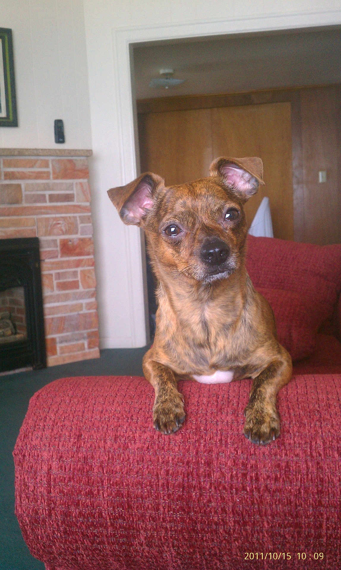 Little Man