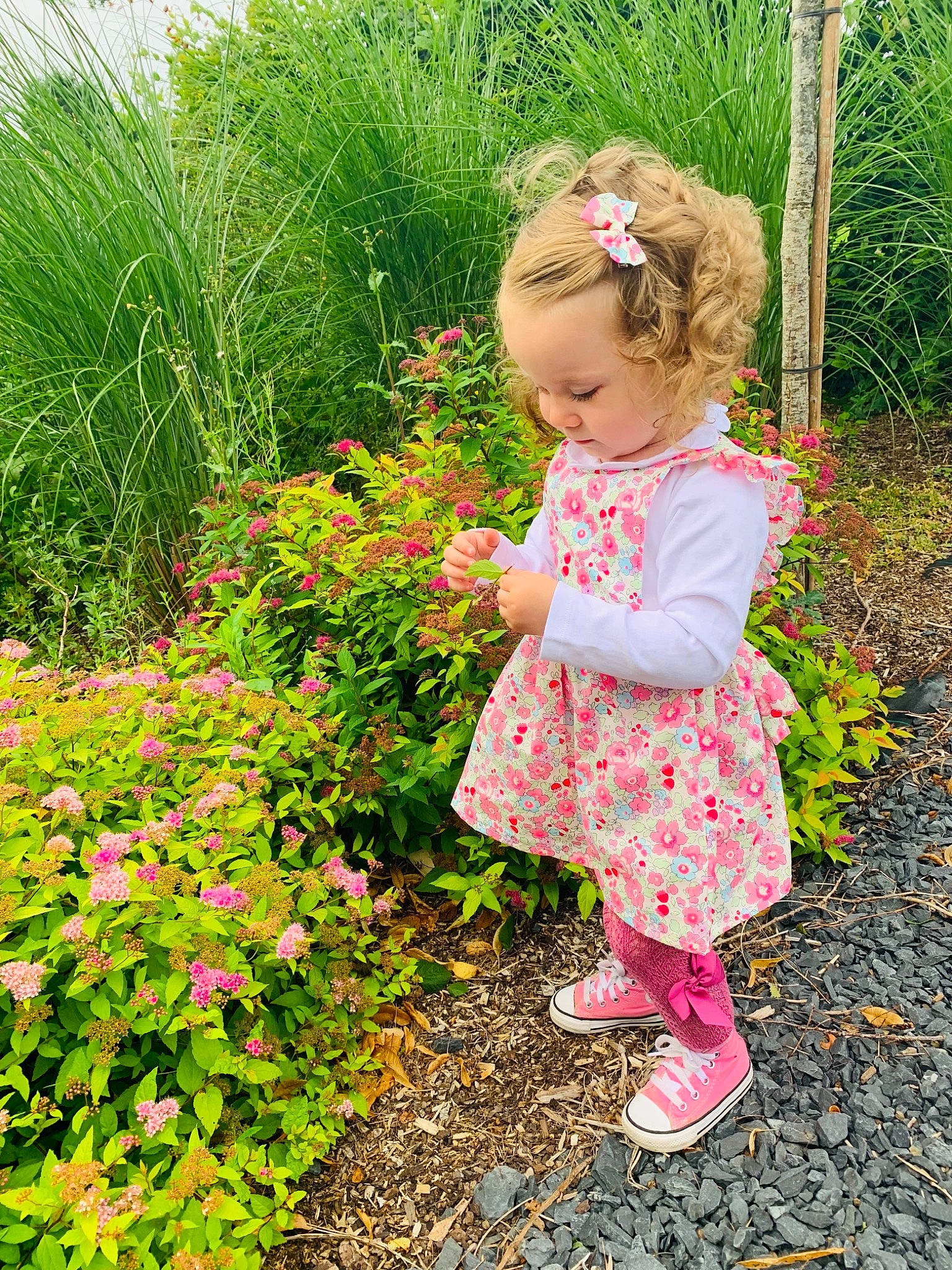 Lyvia participe au concours pour gagner de l'argent avec cette photo : annual_plant, baby, baby_toddler_clothing, child, flower, grass, grass_family, grassland, green, groundcover, happy, magenta, meadow, people_in_nature, person, petal, pink, plant, shrub, summer