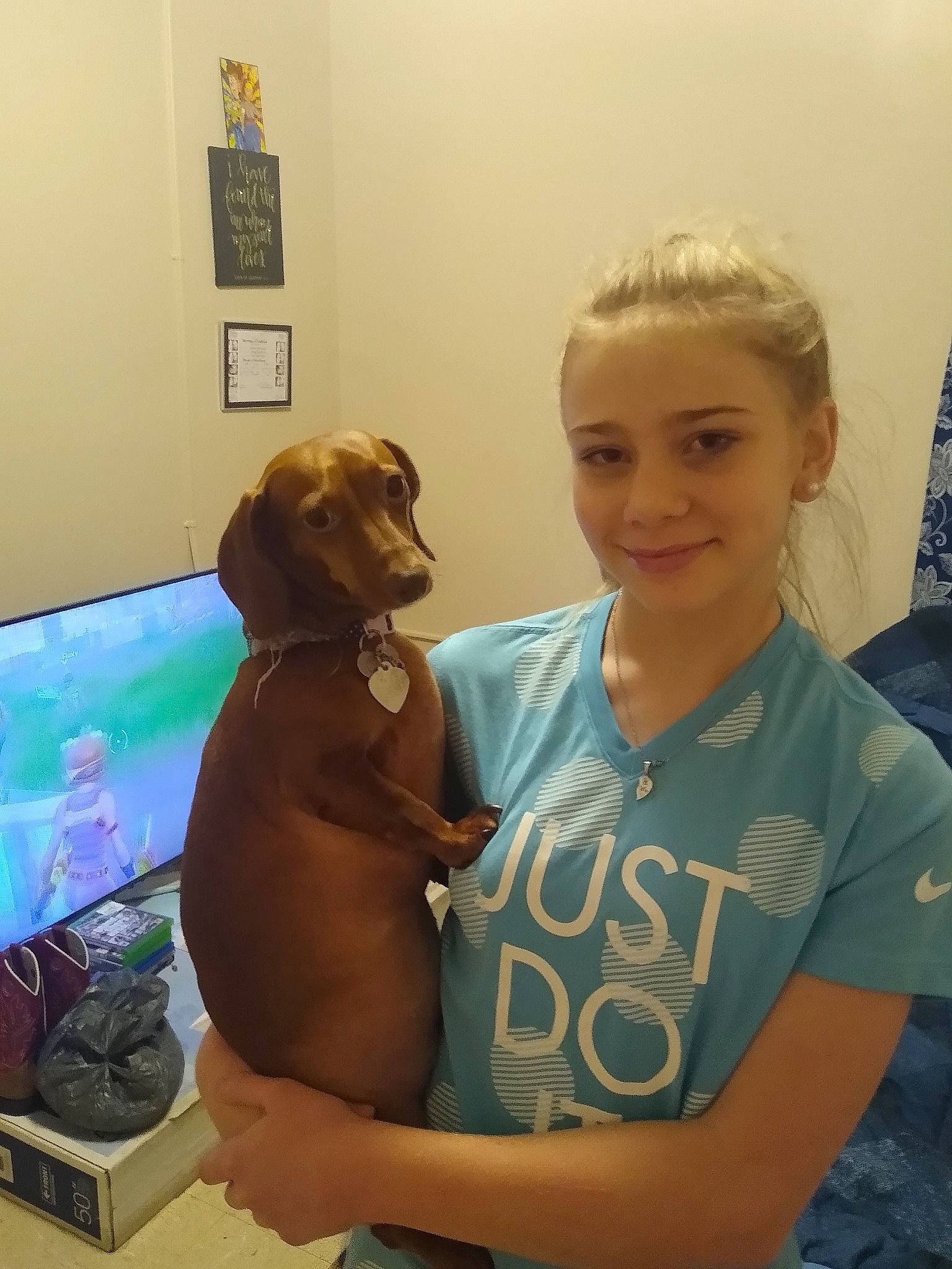 Sophie is registered to the contest to win money with this photo: blond, brown_hair, canidae, carnivore, companion_dog, dog, dog_breed, flag, liver, necklace, picture_frame, stomach, working_animal