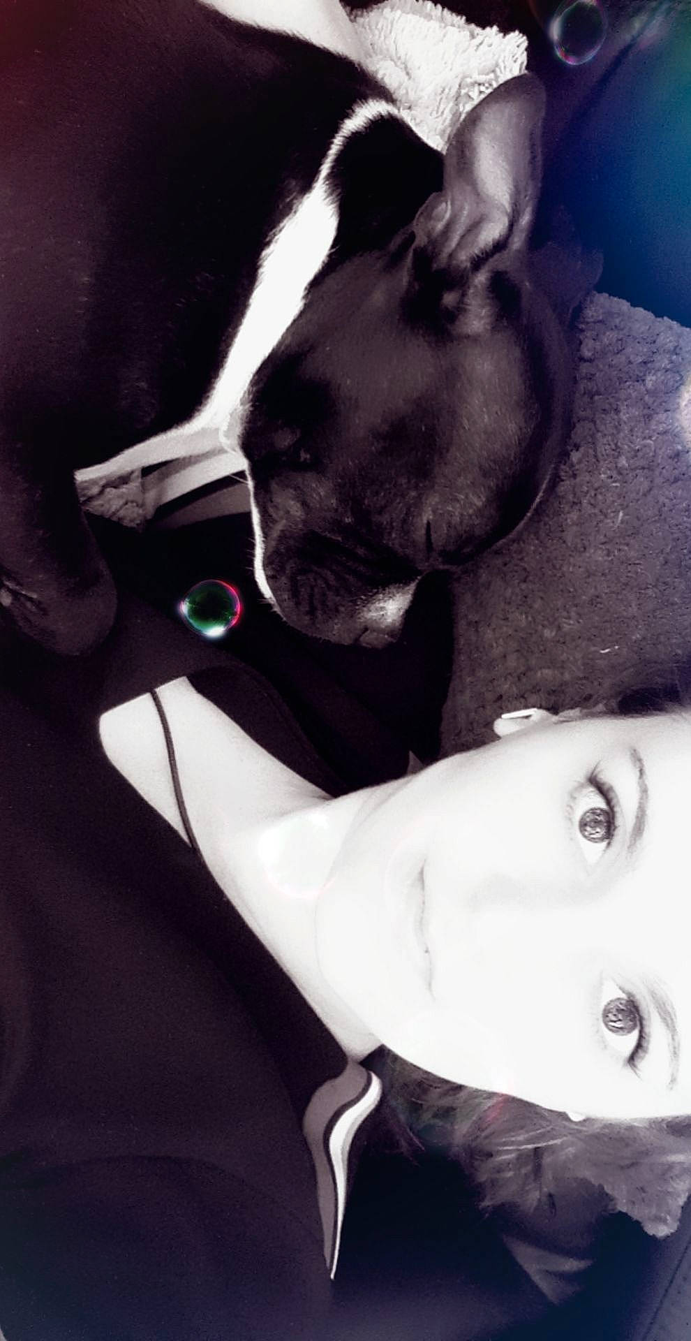 Oly participe au concours pour gagner de l'argent avec cette photo : black_hair, boston_terrier, canidae, carnivore, ear, eye, french_bulldog, head, love, mouth, non_sporting_group, nose, photography, selfie, smile, snout, whiskers