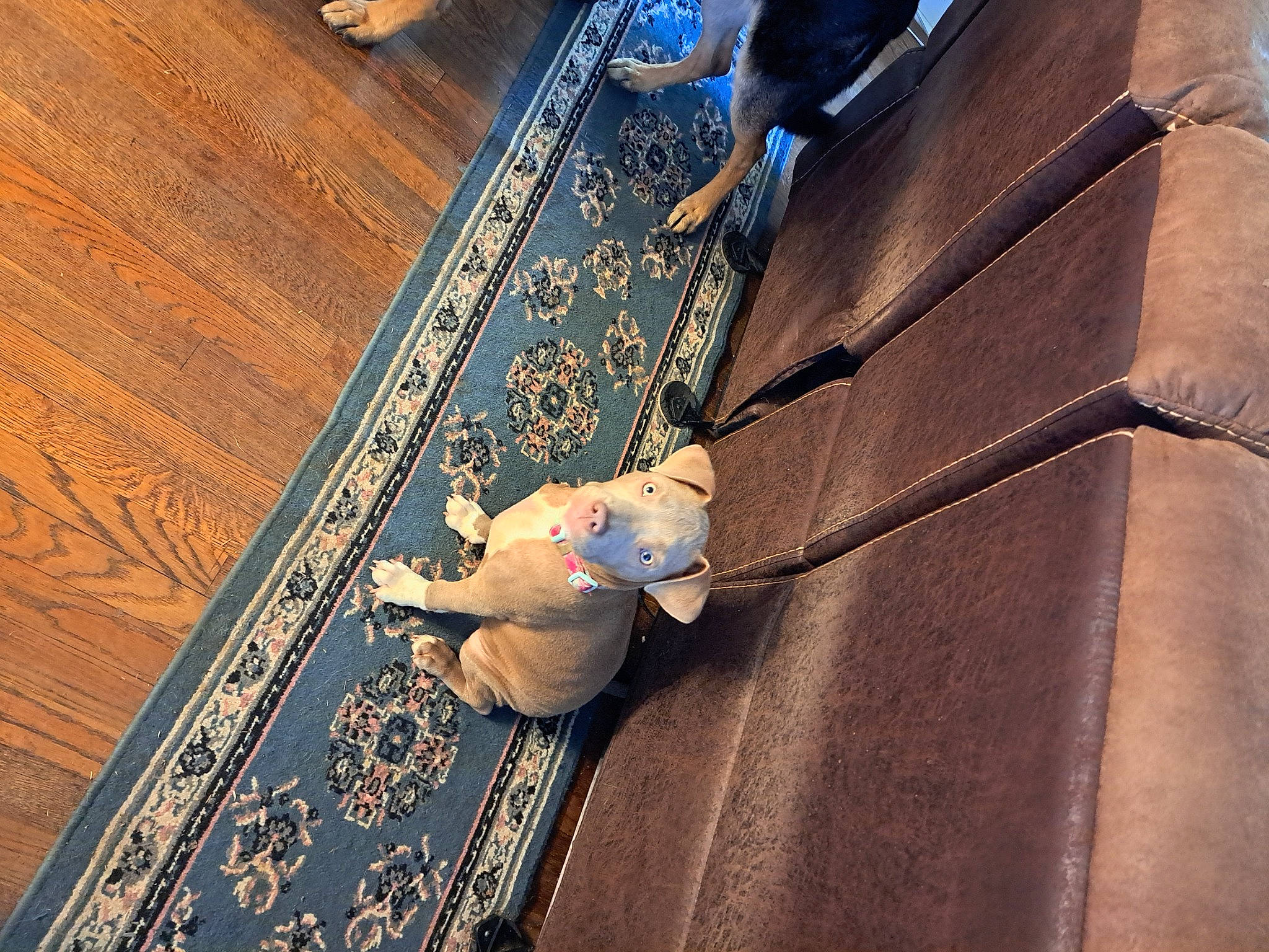 Chole joined the competition — help win amazing prizes! black, concrete, floor, flooring, hardwood, human_leg, laminate_flooring, leg, leisure, metal, pattern, room, shadow, sitting, stairs, tints_and_shades, varnish, wood, wood_flooring, wood_stain