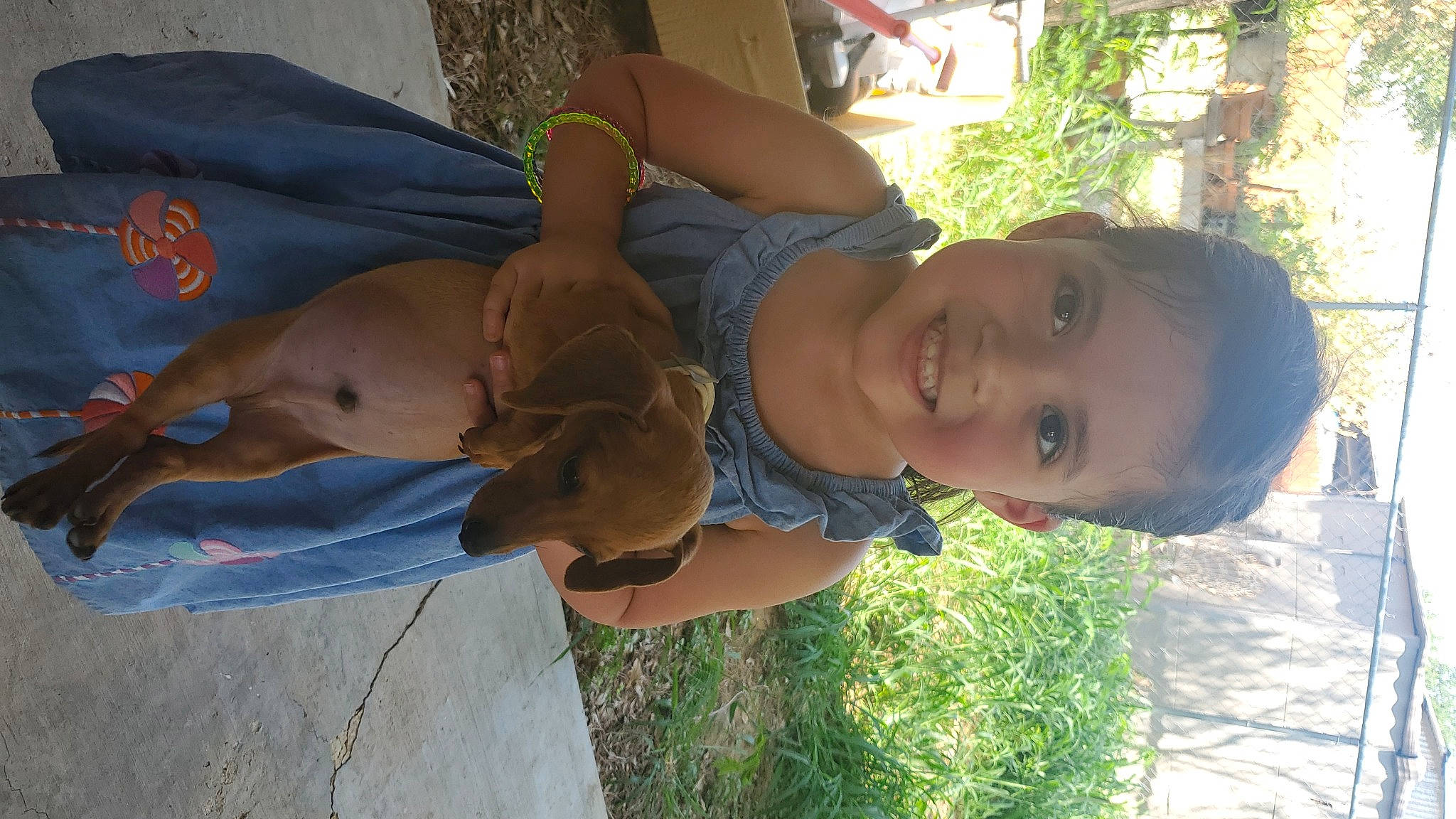 Lulu joined the competition — help win amazing prizes! abdomen, carnivore, chest, child, companion_dog, dog, fun, grass, happy, hat, joy, leisure, people_in_nature, person, plant, smile, thigh, toddler, tree, trunk