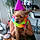 Fany