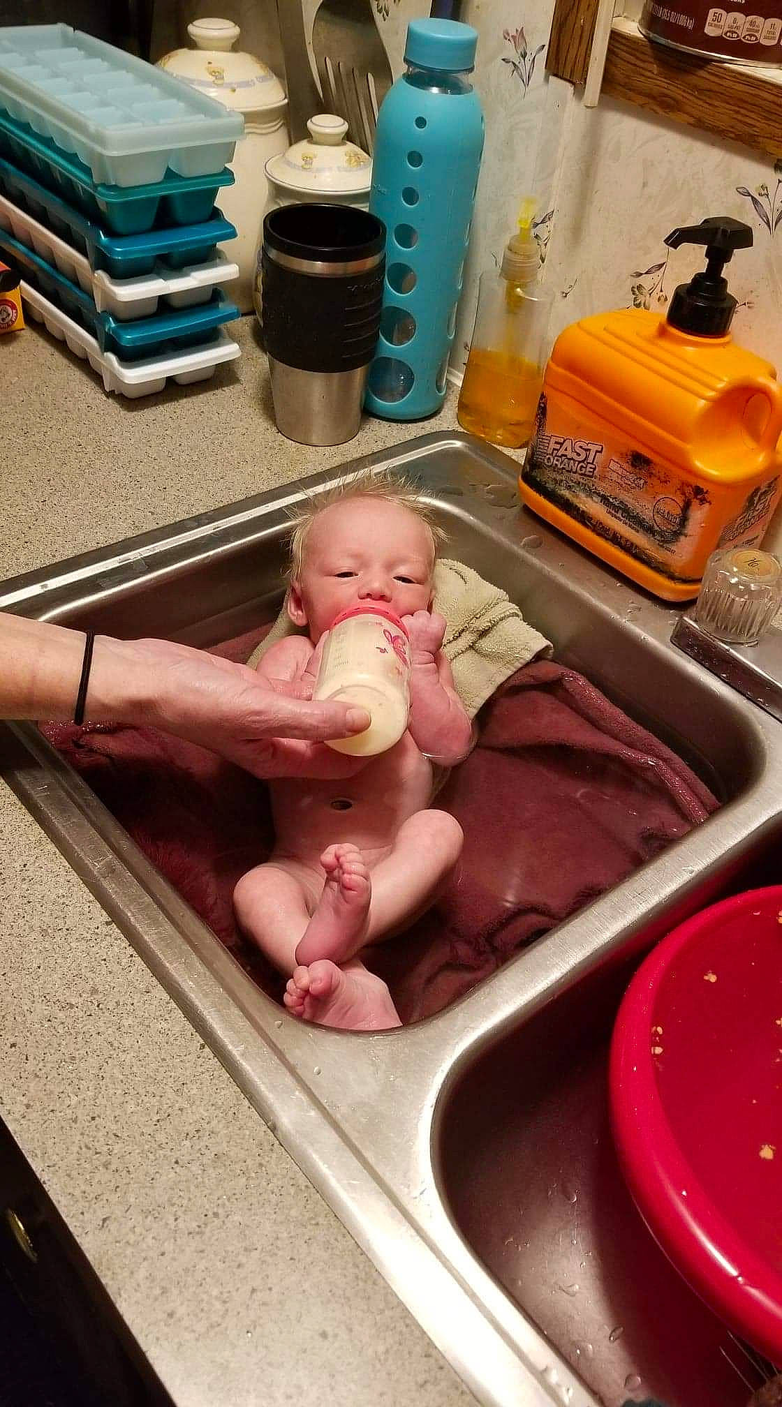 Estella joined the competition — help win amazing prizes! baby, bathing, birth, child, flesh, food, leg, person, washing