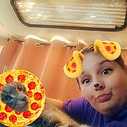 Stitch joined the competition — help win amazing prizes! person, cat, pet, selfie, camera_filter, pizza_sticker, dog_ears_filter, curtain, skylight, ceiling_light, table, arm, purple_shirt, eyes, expression, indoor, playful, cute, fur, closeup