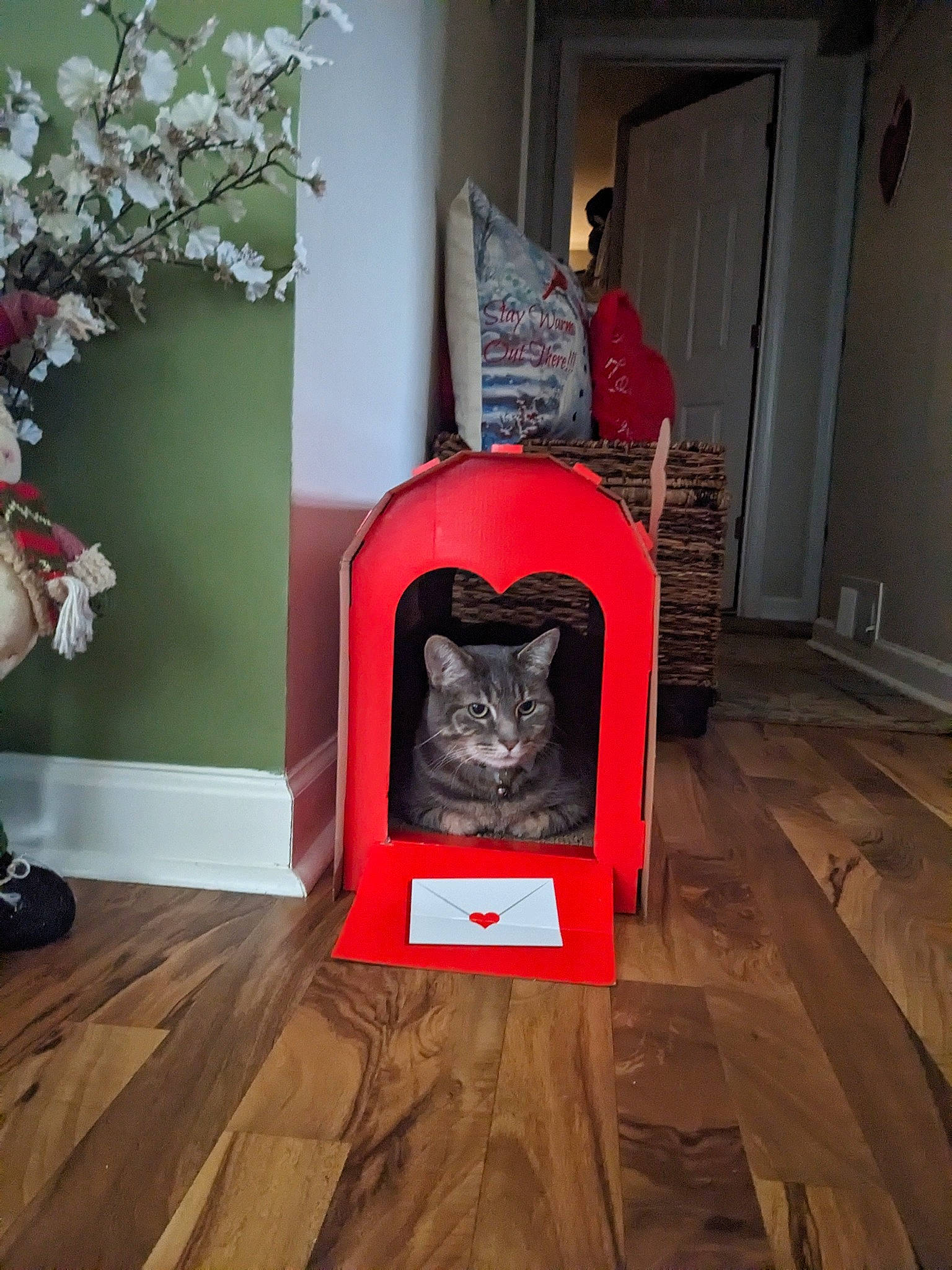 Mercedes is registered to the contest to win money with this photo: art, canidae, carnivore, cat, comfort, companion_dog, dog_breed, door, felidae, floor, flooring, flower, grey, hardwood, laminate_flooring, small_to_medium_sized_cats, sporting_group, wood, wood_flooring, wood_stain