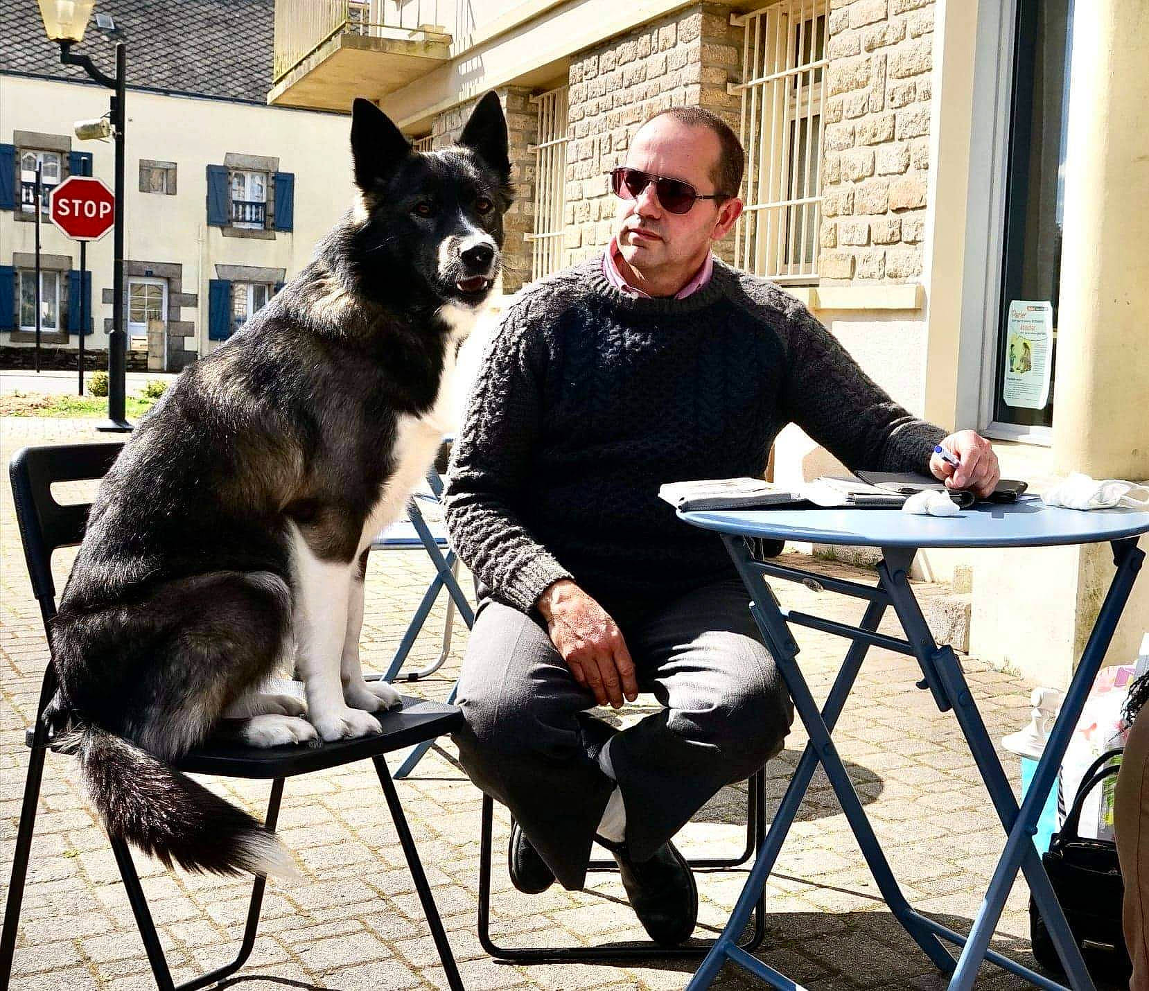Pupuce a rejoint le concours — aidez-le/la à gagner de superbes lots ! building, carnivore, chair, companion_dog, dog, dog_breed, eyewear, fur, glasses, goggles, outdoor_table, recreation, sitting, snout, sporting_group, sunglasses, table, vision_care, window, working_animal