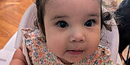 Meadow is registered to the contest to win money with this photo: baby, child, close_up, curious, curly_hair, cute, expression, face, food, furniture, hands, high_chair, indoors, infant, messy, messy_hair, person, portrait, smocked_dress, wood_floor
