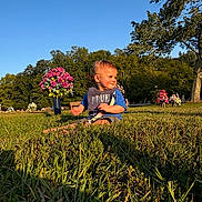 Dalton is registered to the contest to win money with this photo: toddler, child, outdoor, grass, garden, flowers, roses, trees, sky, sunlight, golden_hour, portrait, sitting, smiling, blue_shirt, shorts, nature, park, cemetery, flower_arrangement