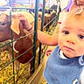 Dalton joined the competition — help win amazing prizes! baby, child, goat, petting_zoo, animal, farm, fence, outdoor, portrait, blue_clothing, sitting, reaching, wide_eyes, face, hay, cage, livestock, curious, close_up, photography