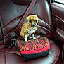 dog, puppy, booster_seat, car_interior, leather_seat, seatbelt, window, brown, red, flame_design, pet, animal, small_dog, cute, sitting, vehicle, side_window, seat, travel, indoors