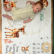 Malo participe au concours pour gagner de l'argent avec cette photo : baby, baby_photo, blanket, bunny, child, cute, deer, floor, fox, hedgehog, infant, lying_down, milestone, milestone_blanket, month_marker, portrait, striped_onesie, wooden_arrow, wooden_circle, woodland_animals
