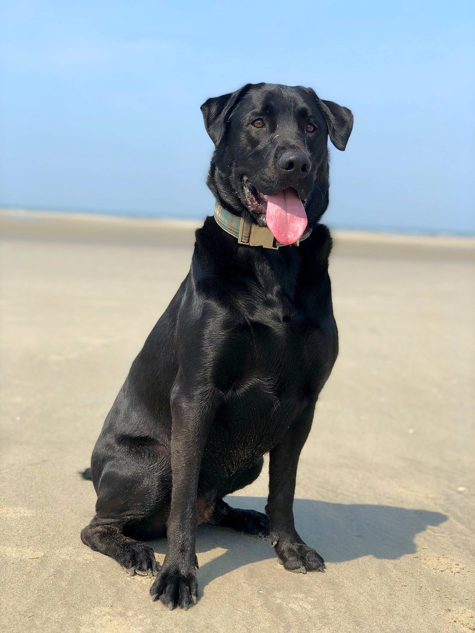 Paco
