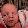 Savannah joined the competition — help win amazing prizes! baby, newborn, sleeping, blanket, face, skin, infant, closeup, portrait, soft, warm, couch, texture, comfort, peaceful, wrapped, rest, child, person, indoors