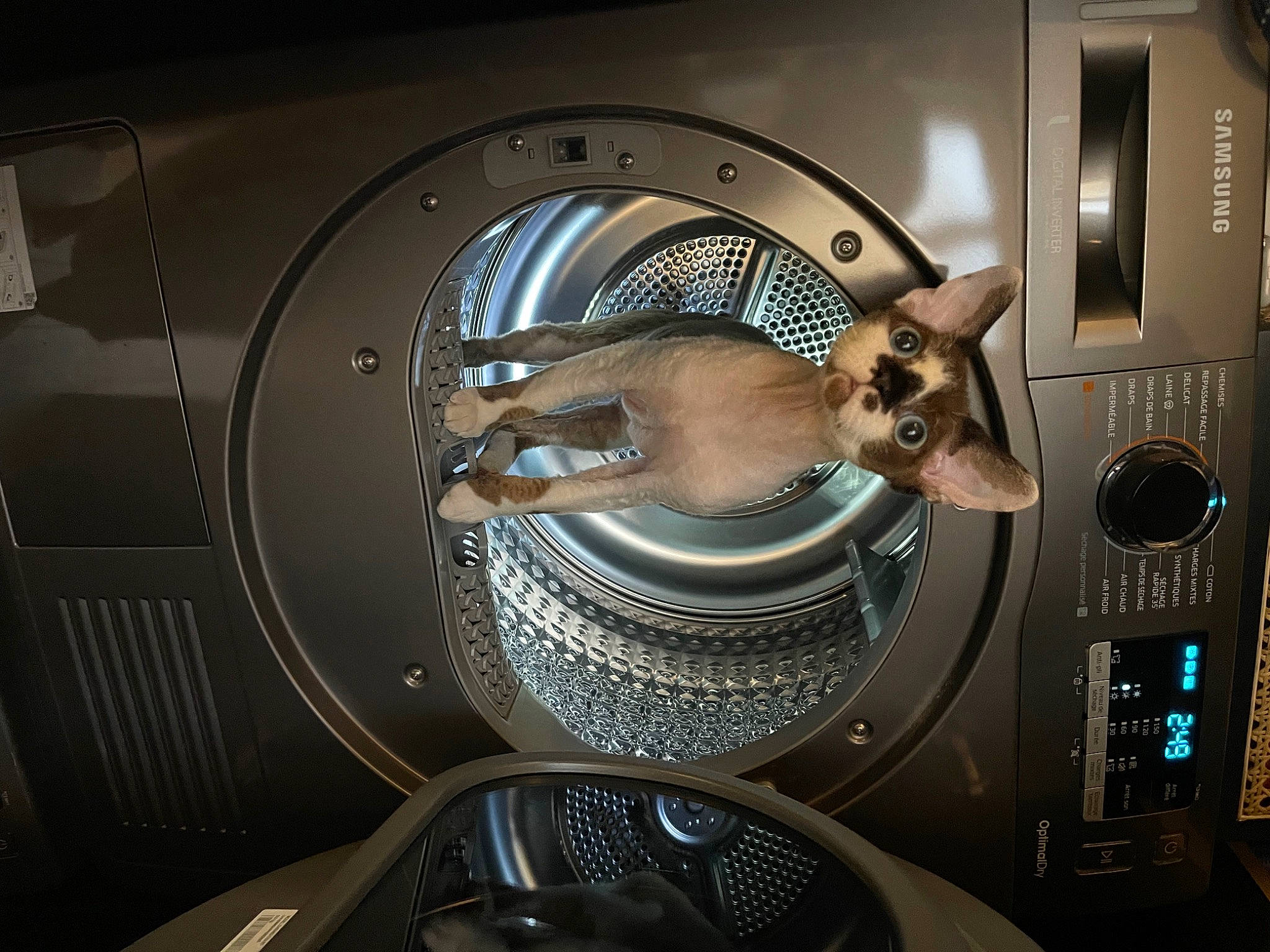 Schwarzy participe au concours pour gagner de l'argent avec cette photo : alloy_wheel, audio_equipment, auto_part, automotive_design, automotive_exterior, automotive_fog_light, automotive_lighting, automotive_tire, bumper, gas, grille, headlamp, hood, major_appliance, motor_vehicle, personal_luxury_car, rim, steering_wheel, vehicle, vehicle_door