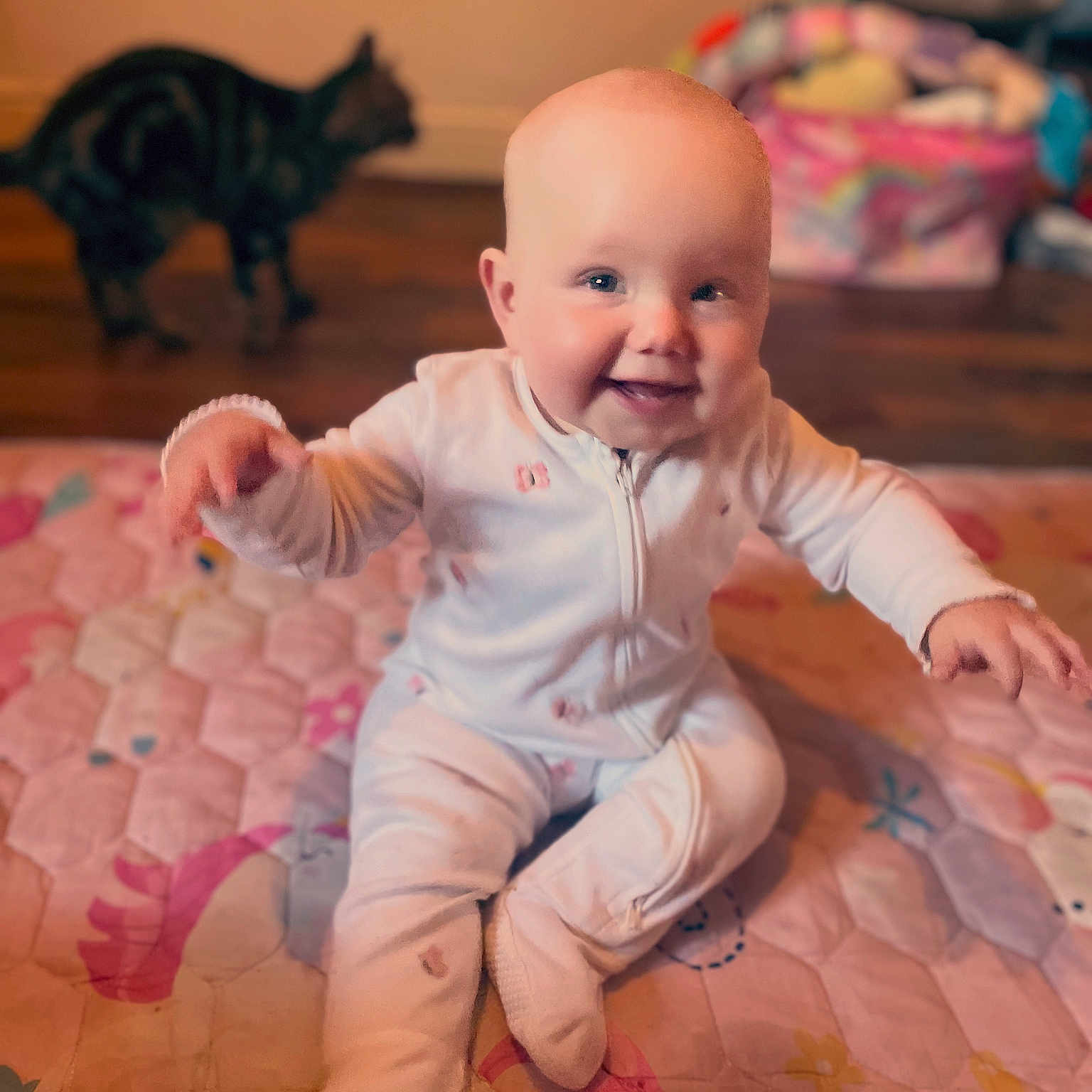 Elena-Emma is registered to the contest to win money with this photo: animal, baby, blanket, cat, child, cozy, cute, floor, happy, home, indoors, infant, pajamas, person, pet, playtime, quilt, seated, smiling, soft_lighting