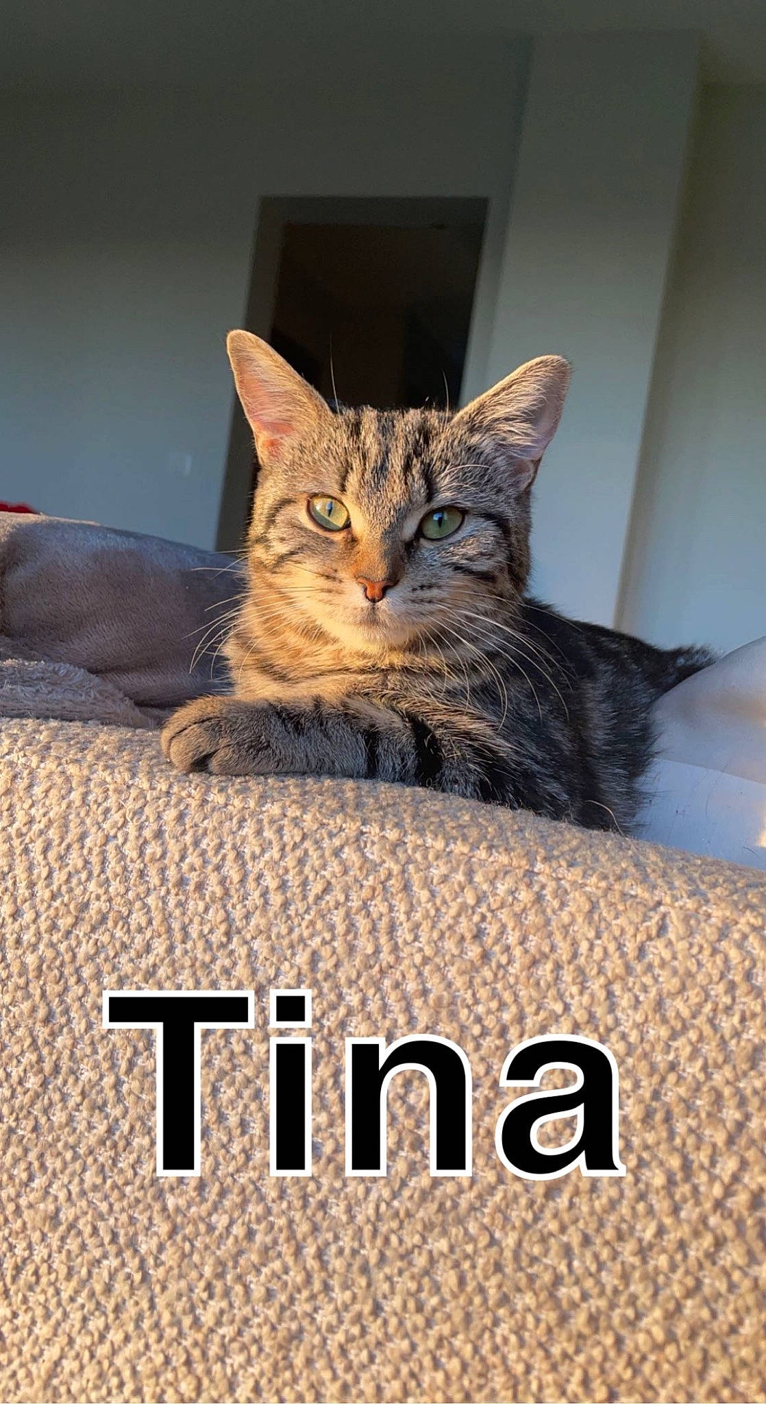 Tina
