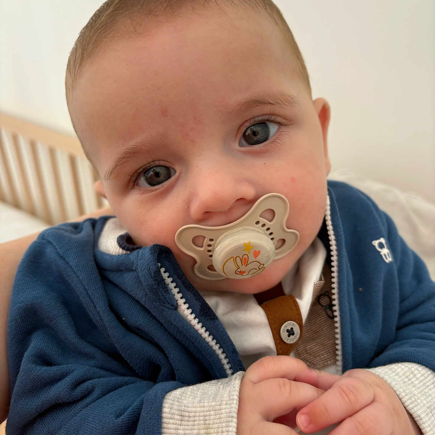 Mélio participe au concours pour gagner de l'argent avec cette photo : baby, bed, blue_jacket, child, close_up, clothing, cradle, cute, expression, face, hands, hoodie, indoor, infant, pacifier, person, portrait, skin, sleepwear, young
