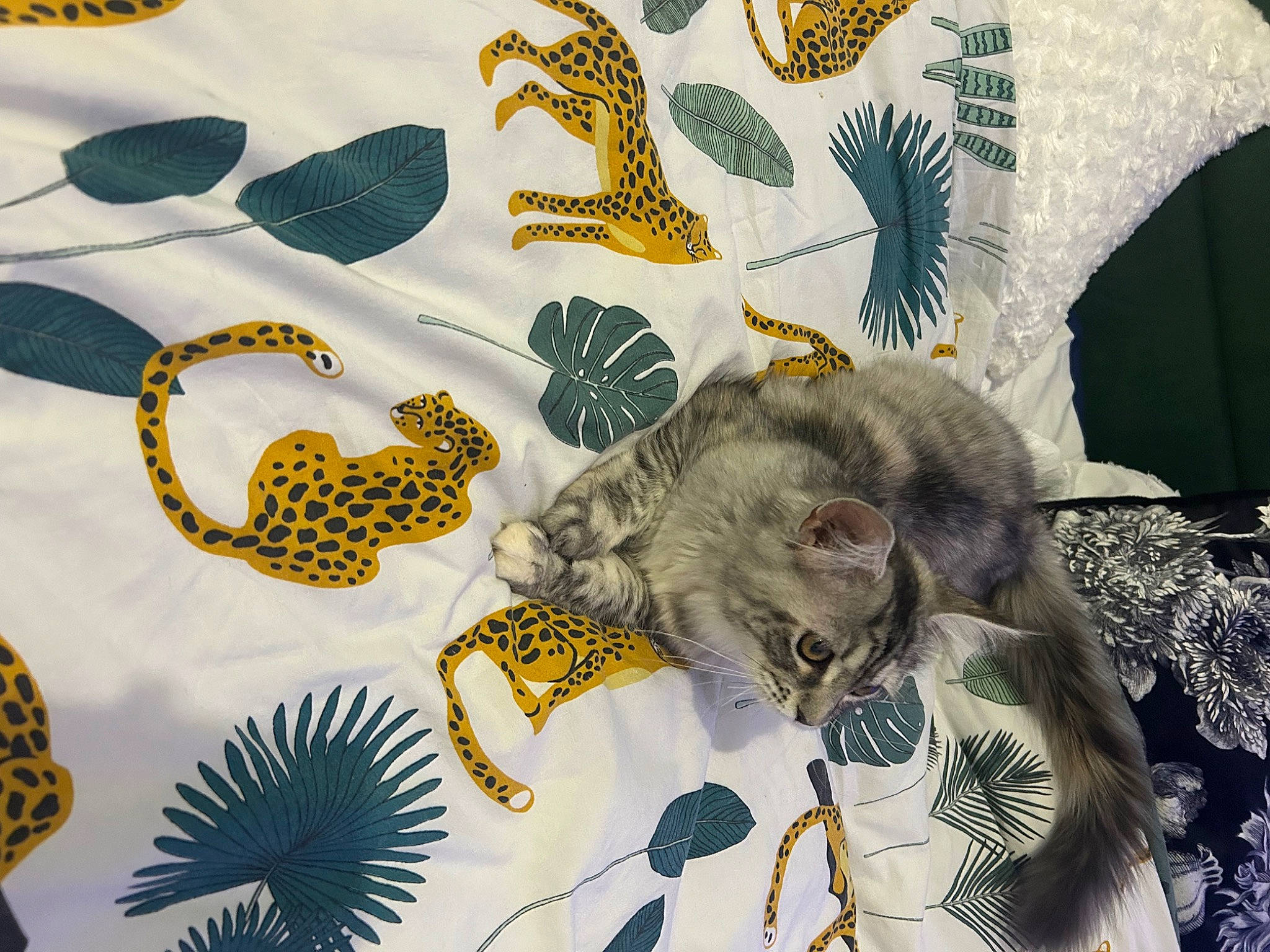 Ivy participe au concours pour gagner de l'argent avec cette photo : art, cat, child_art, domestic_short_haired_cat, drawing, felidae, font, fur, illustration, leopard, linens, painting, pattern, paw, small_to_medium_sized_cats, tail, terrestrial_animal, visual_arts, whiskers, wildlife