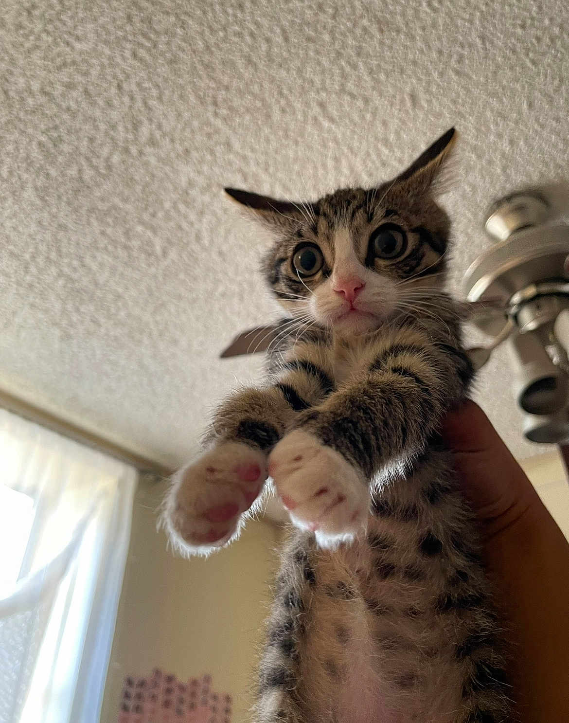 Luka
