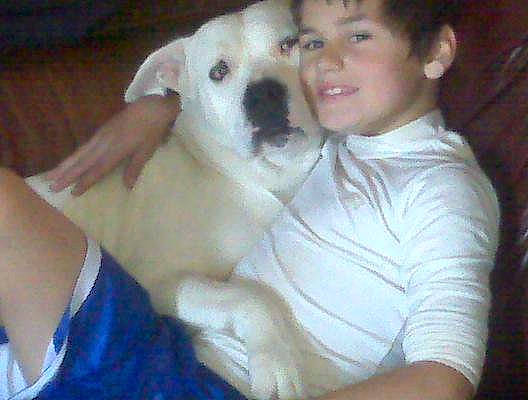 Vic joined the competition — help win amazing prizes! canidae, carnivore, companion_dog, dog, dog_breed, fawn, joy, mammal, non_sporting_group, nose, person, puppy, puppy_love, skin, vertebrate