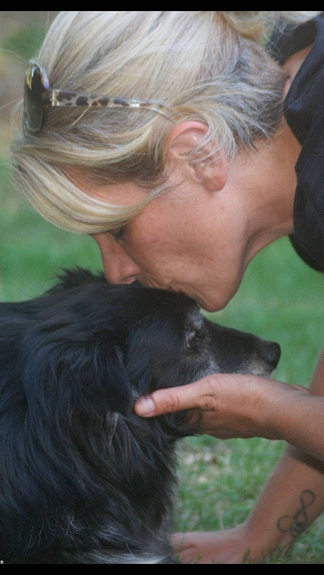 Bobby D Amour participe au concours pour gagner de l'argent avec cette photo : affenpinscher, canidae, carnivore, companion_dog, dog, dog_breed, ear, hair, hairstyle, long_hair, sporting_group