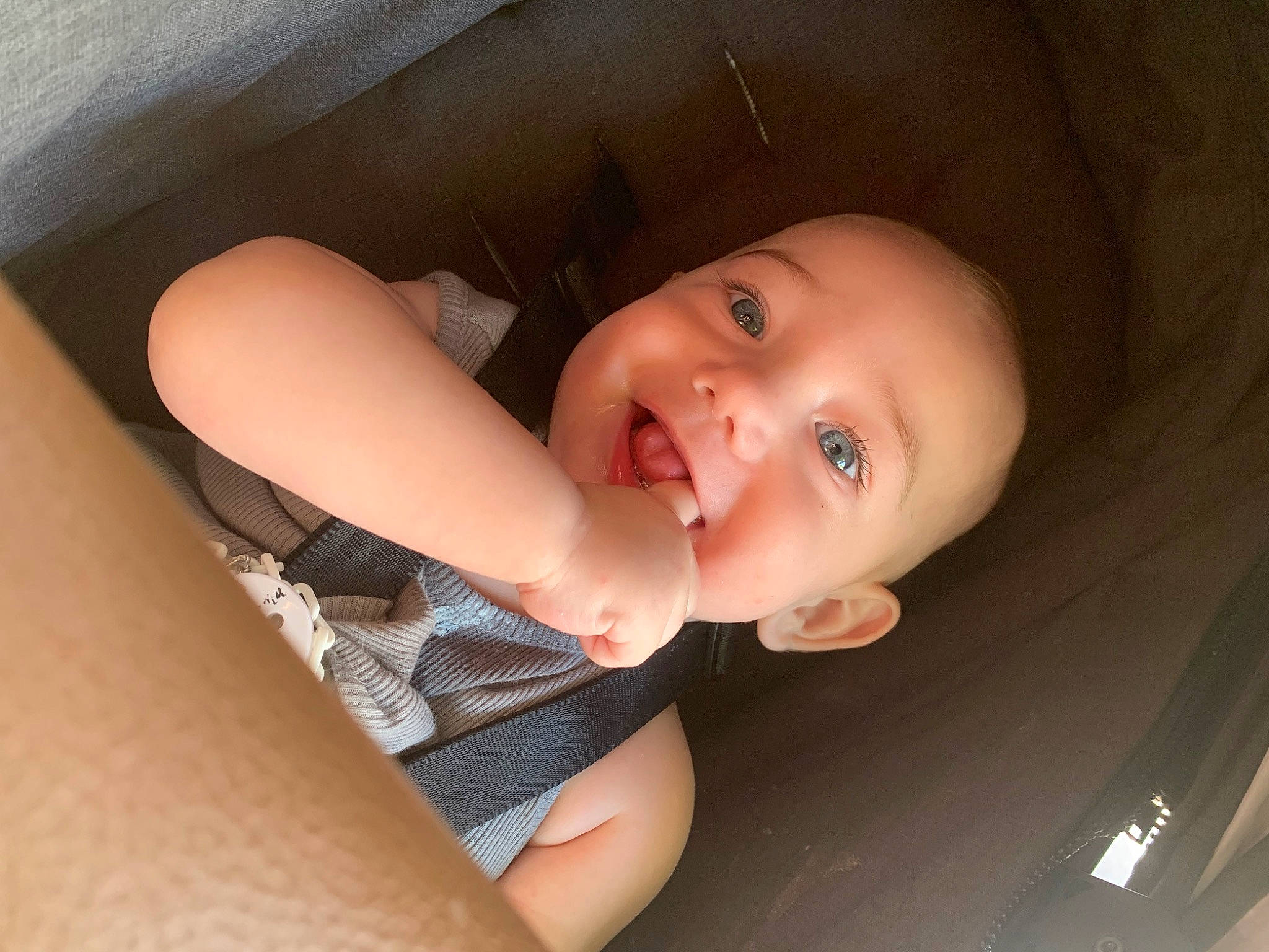 Arlo is registered to the contest to win money with this photo: black_hair, chest, comfort, elbow, eye, finger, flash_photography, happy, human_leg, knee, lip, mouth, nose, person, skin, smile, thigh, toddler, trunk, vehicle_door