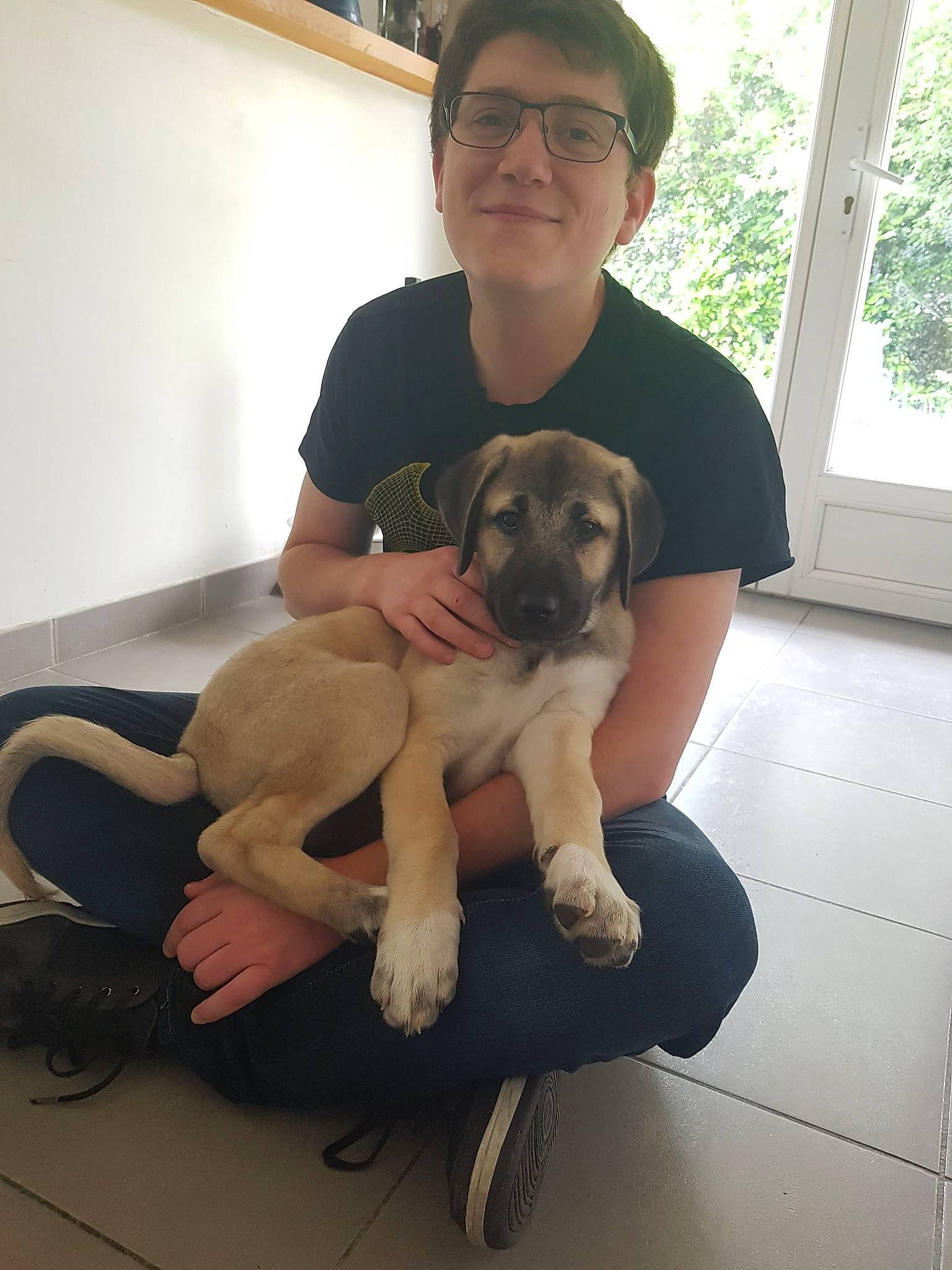 Tuka a rejoint le concours — aidez-le/la à gagner de superbes lots ! canidae, carnivore, chair, comfort, companion_dog, dog, dog_breed, fawn, flooring, fur, knee, leg, picture_frame, smile, snout, sporting_group, thigh, toy_dog, window, working_animal