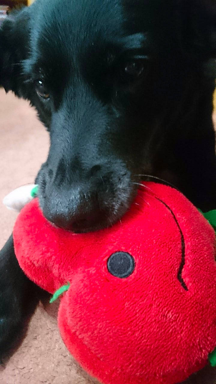 Cody is registered to the contest to win money with this photo: