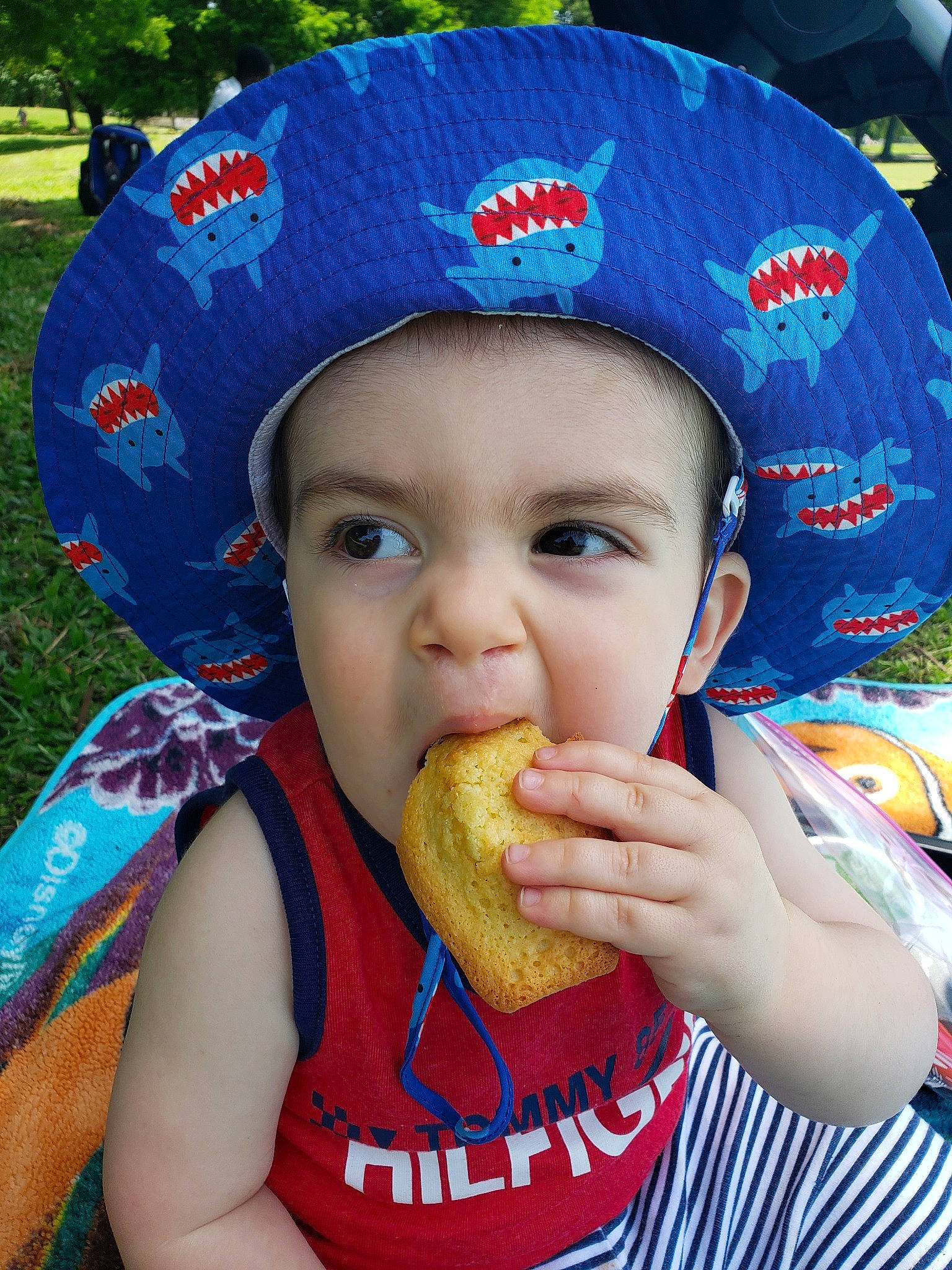 Leonard is registered to the contest to win money with this photo: baby, bonnet, cap, child, eating, fast_food, food, hat, headgear, junk_food, knit_cap, person, sun_hat, toddler