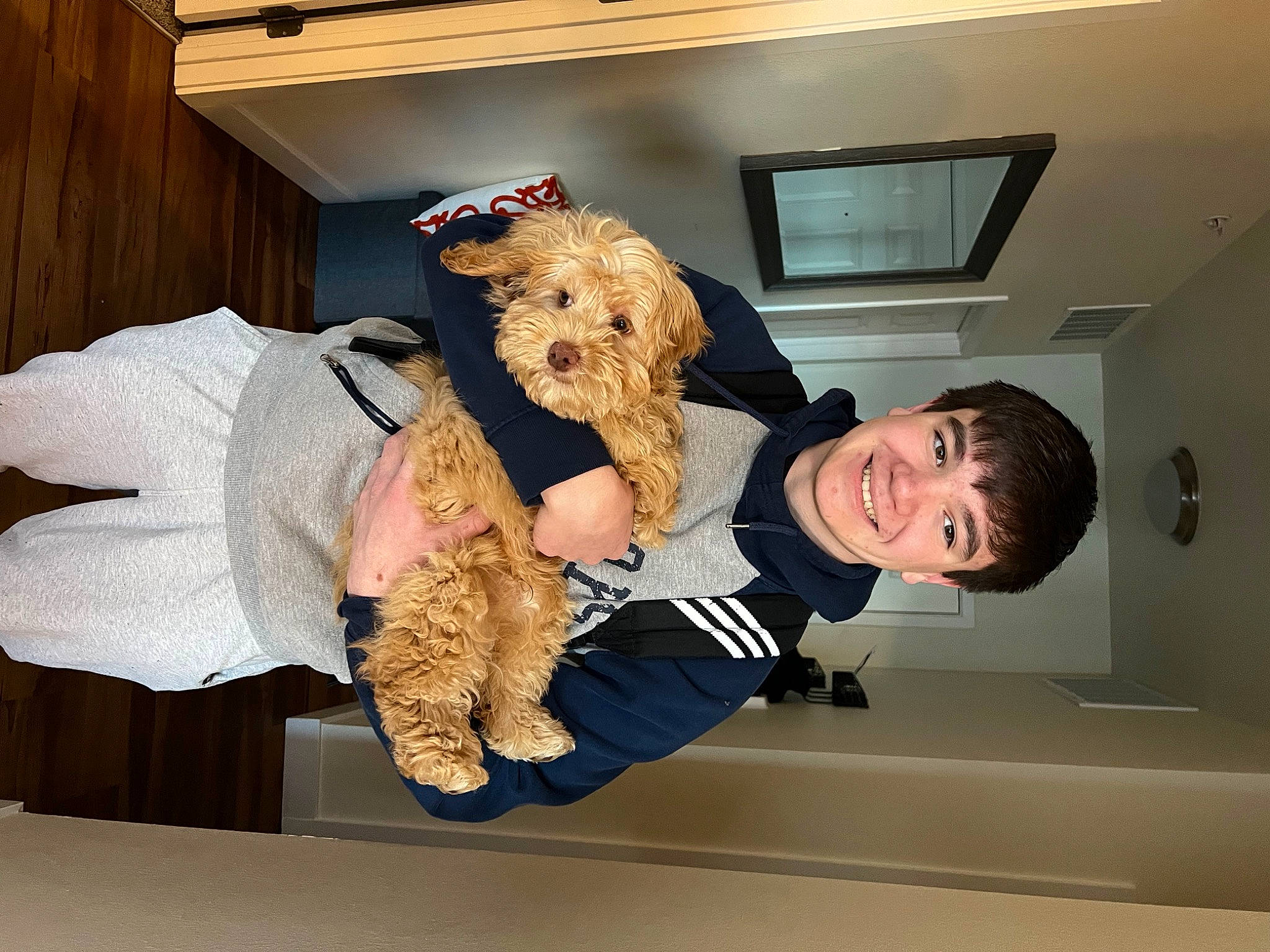 Auggie is registered to the contest to win money with this photo: ceiling, comfort, companion_dog, fashion_design, fun, fur, gesture, happy, picture_frame, plush, room, smile, sporting_group, stuffed_toy, teddy_bear, thigh, toy, wrist