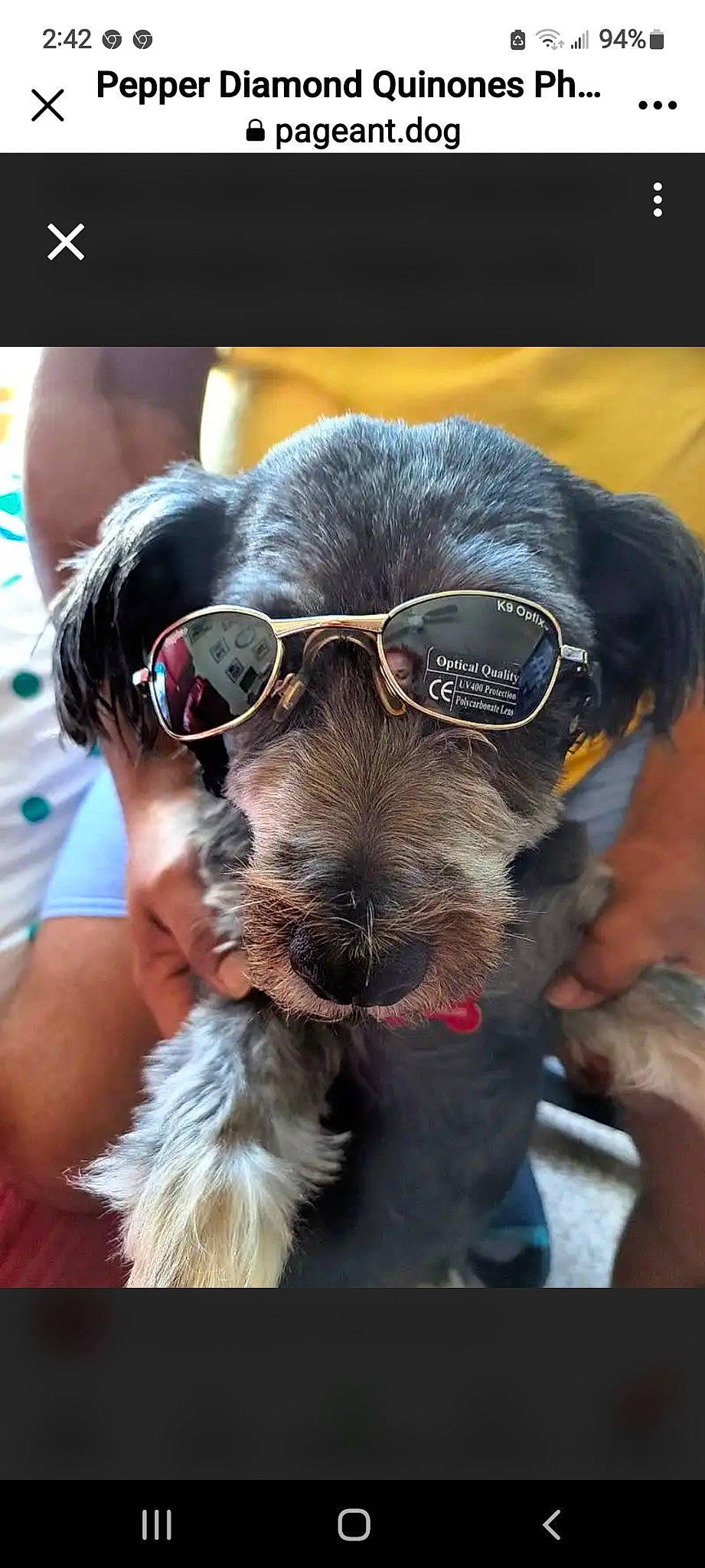 Pepper Diamond Quinones