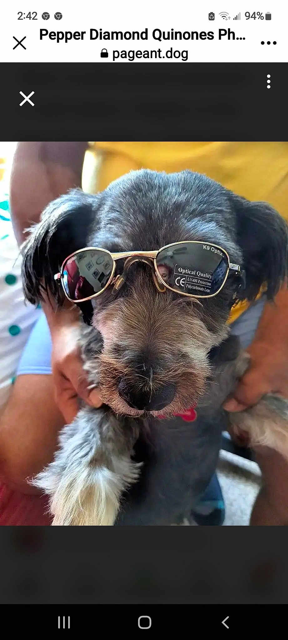 Pepper Diamond Quinones