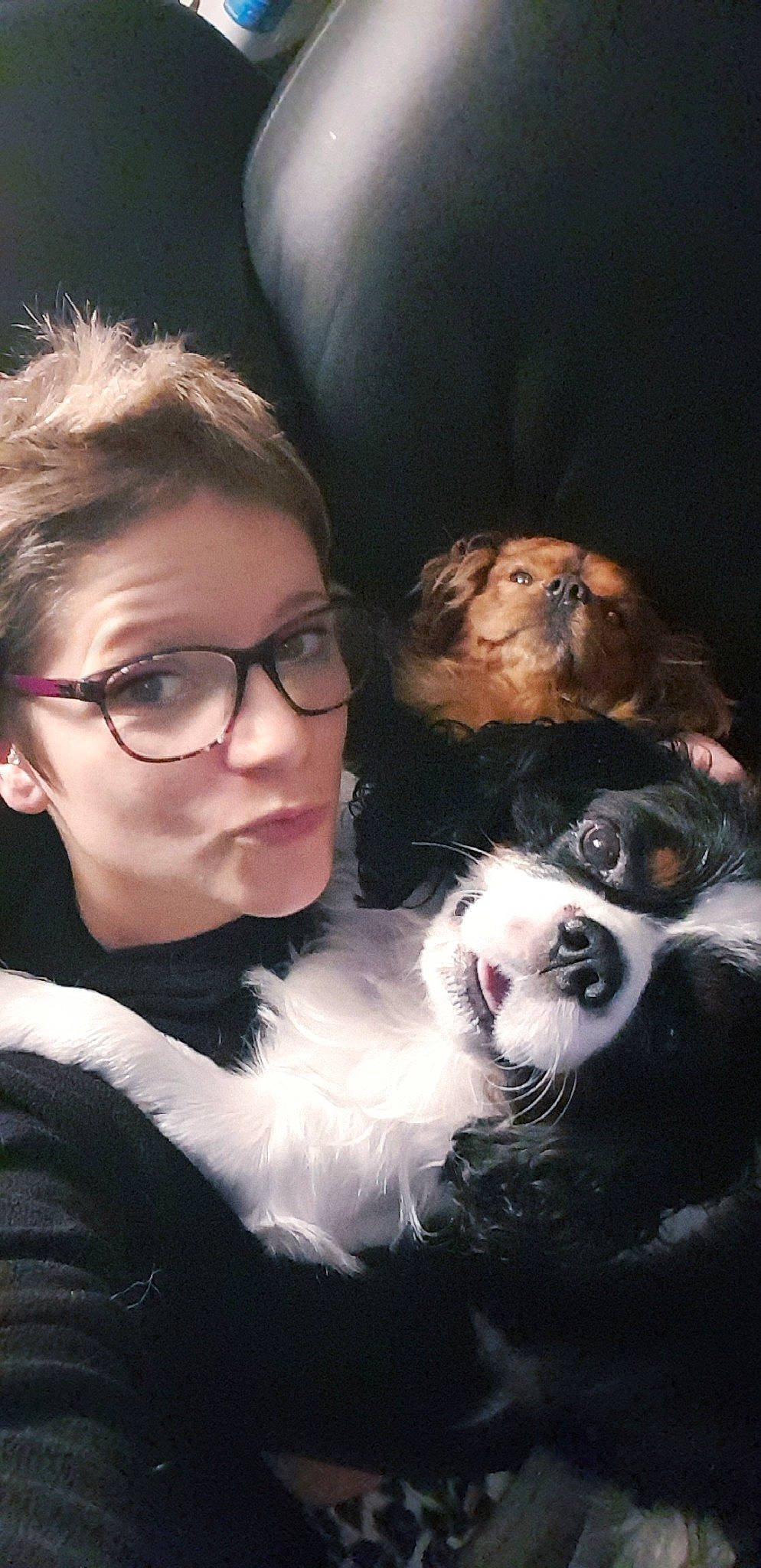 Lou participe au concours pour gagner de l'argent avec cette photo : dog_like_mammal, eyewear, fun, girl, glasses, mammal, person, selfie, snout, vision_care