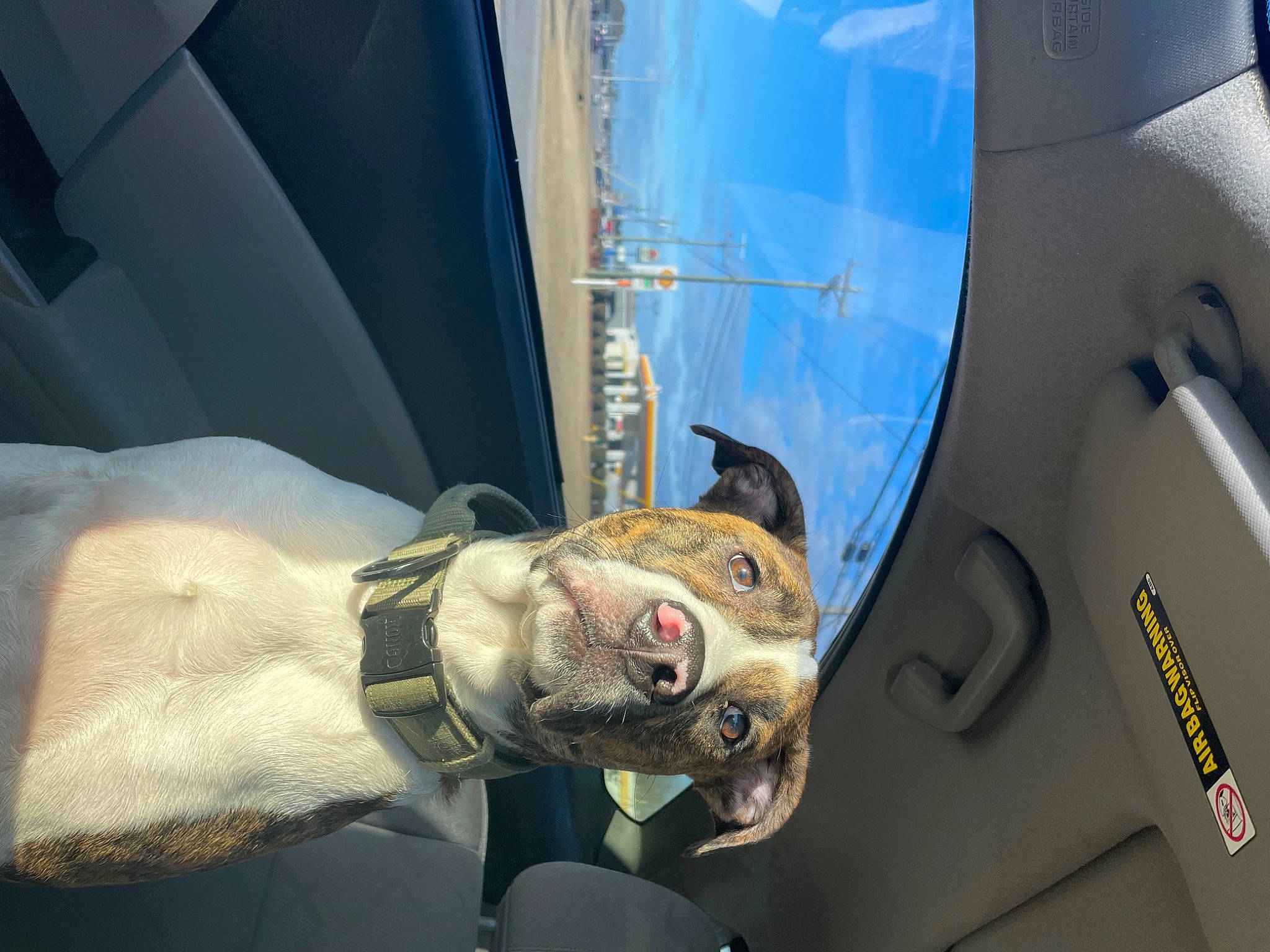 Noah is registered to the contest to win money with this photo: aerospace_engineering, aerospace_manufacturer, aircraft, auto_part, automotive_exterior, automotive_lighting, automotive_window_part, aviation, dog, electric_blue, gesture, glass, hood, motor_vehicle, vehicle, vehicle_door, windshield, wing